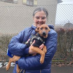 hilfsfahrt 2026 01 19