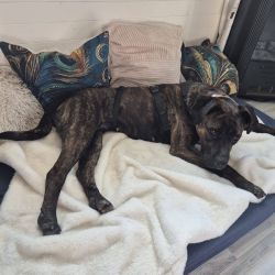 hilfsfahrt 2026 01 19