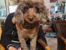 hilfsfahrten 2026 03 28