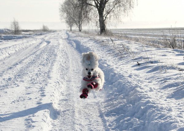 Status: 06. November 2023