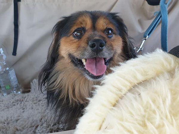 Status: September 2020