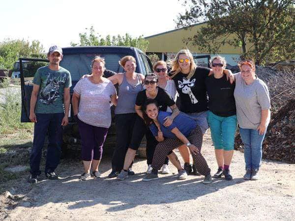 Status: September 2018