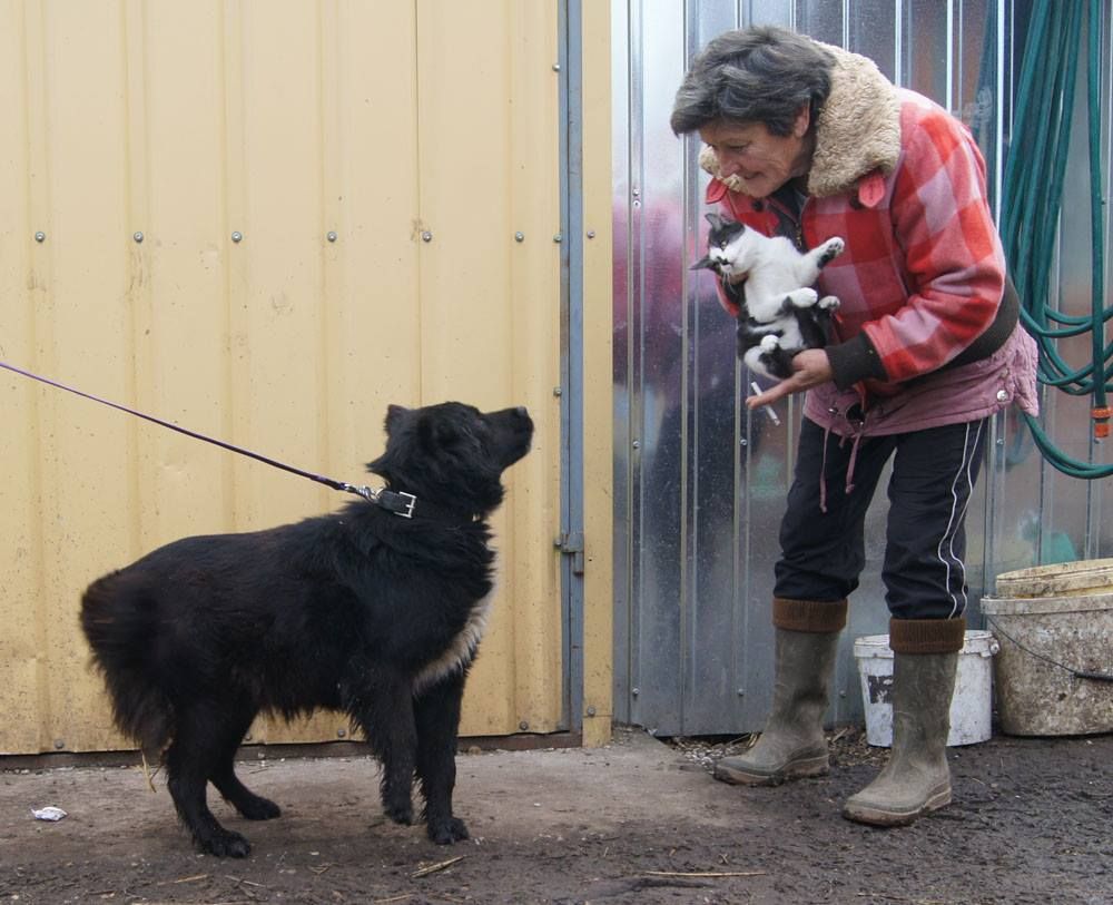 Status: November 2016