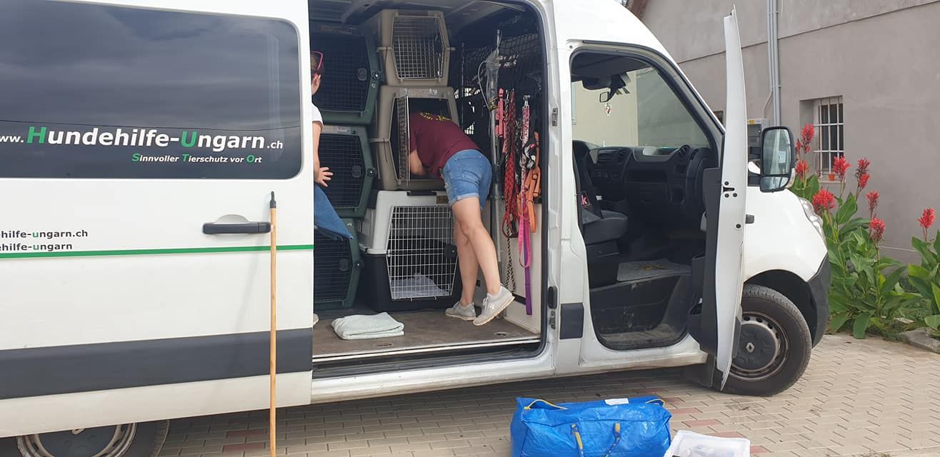 Status: September 2021