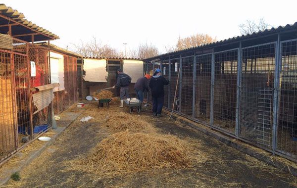 Status: Februar 2017