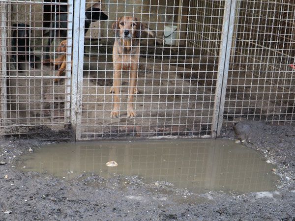 Status: September 2017