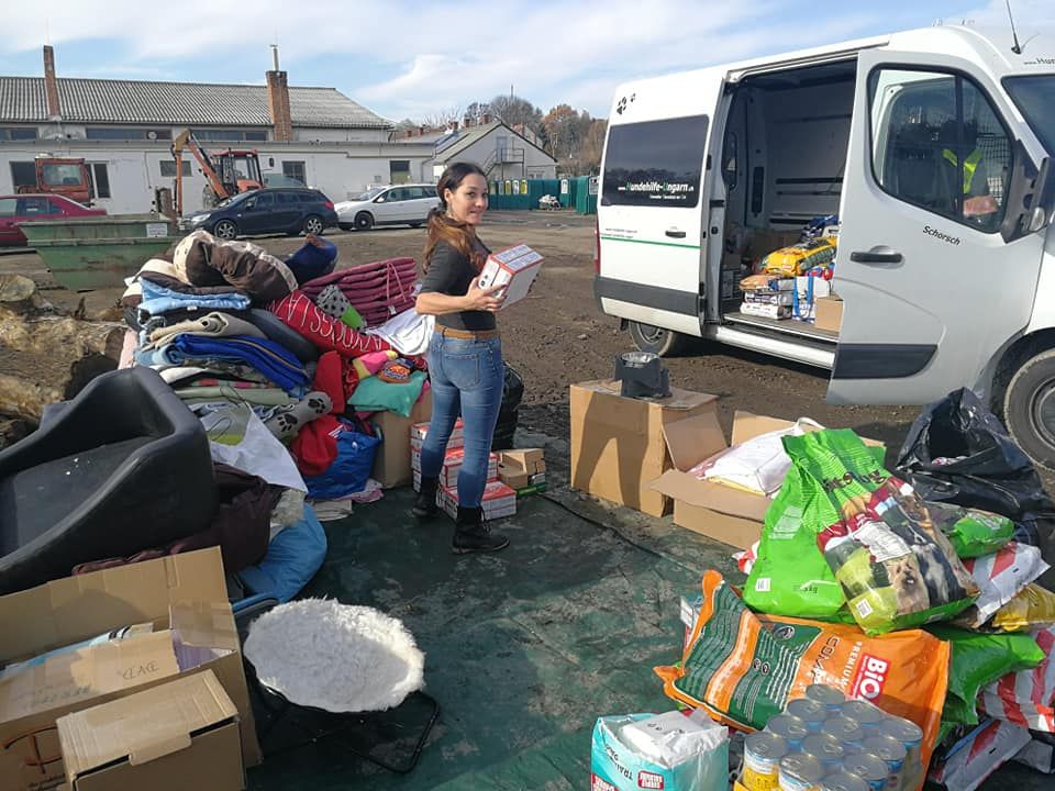 Status: November 2019