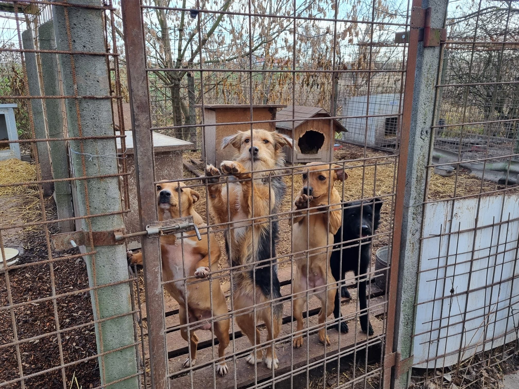 Status: 01. Februar 2023