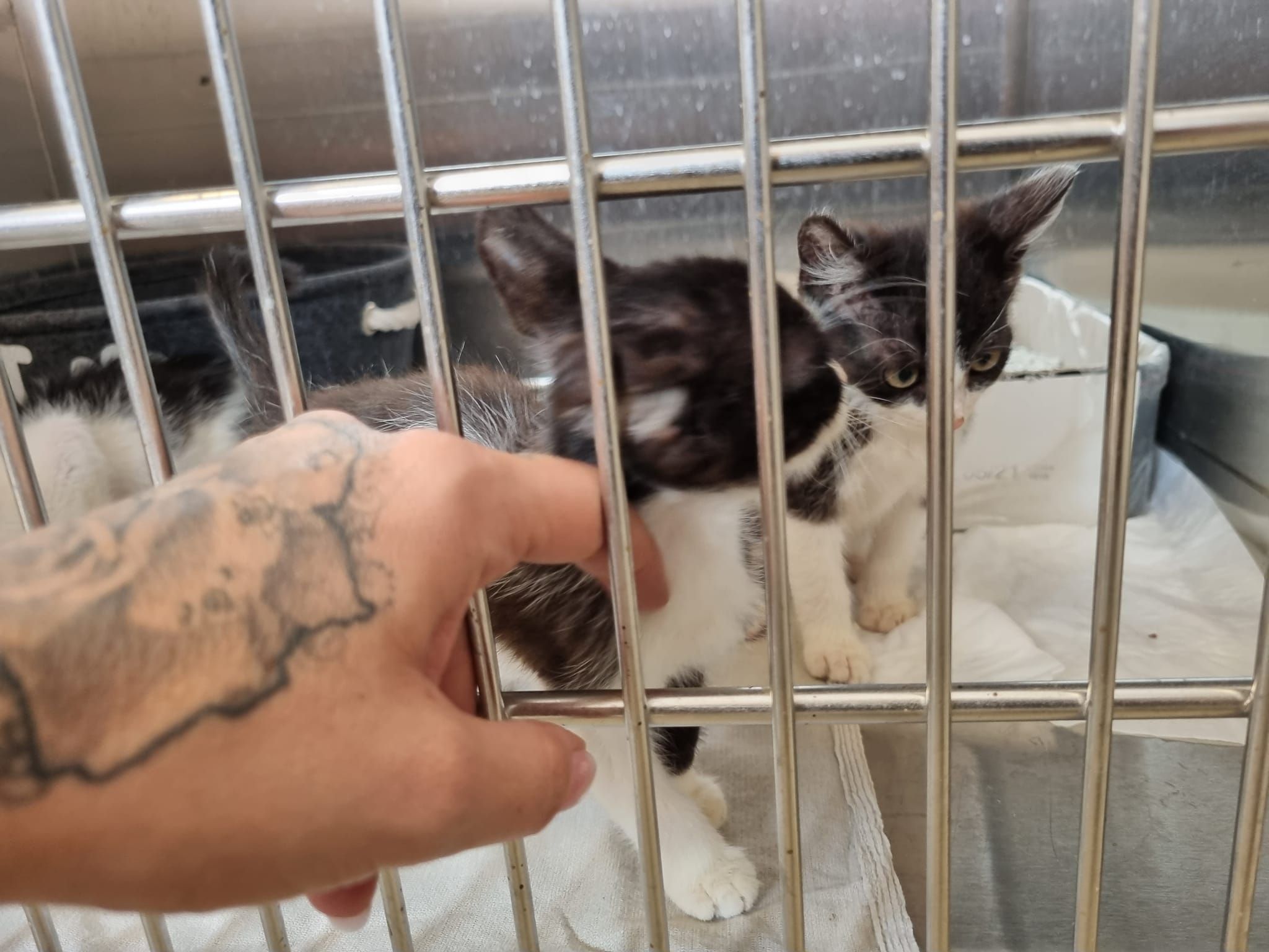 Status: 10.-13. September 2022