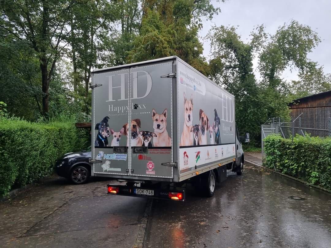 Status: 28. August 2023