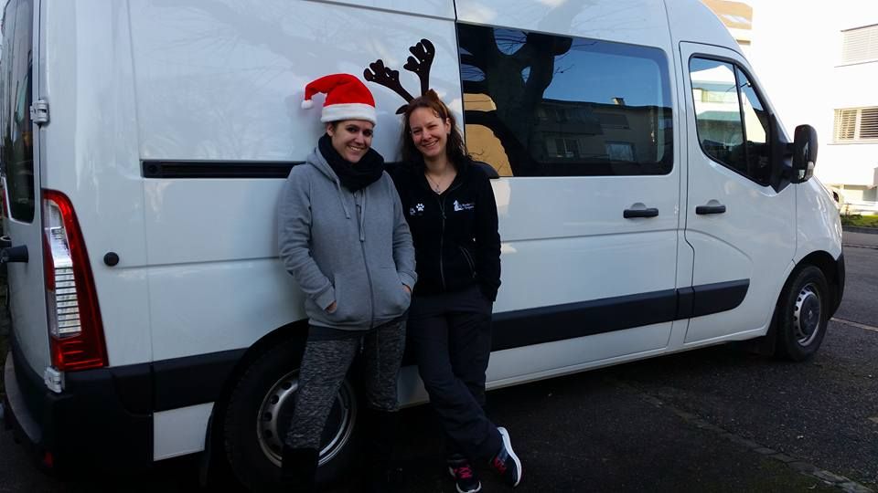 Status: Dezember 2015