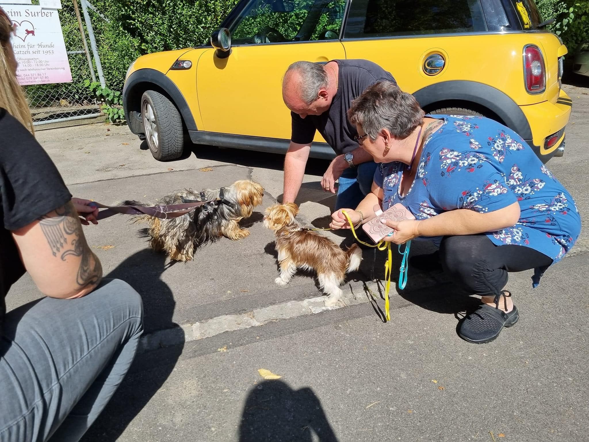 Status: 12. September 2022