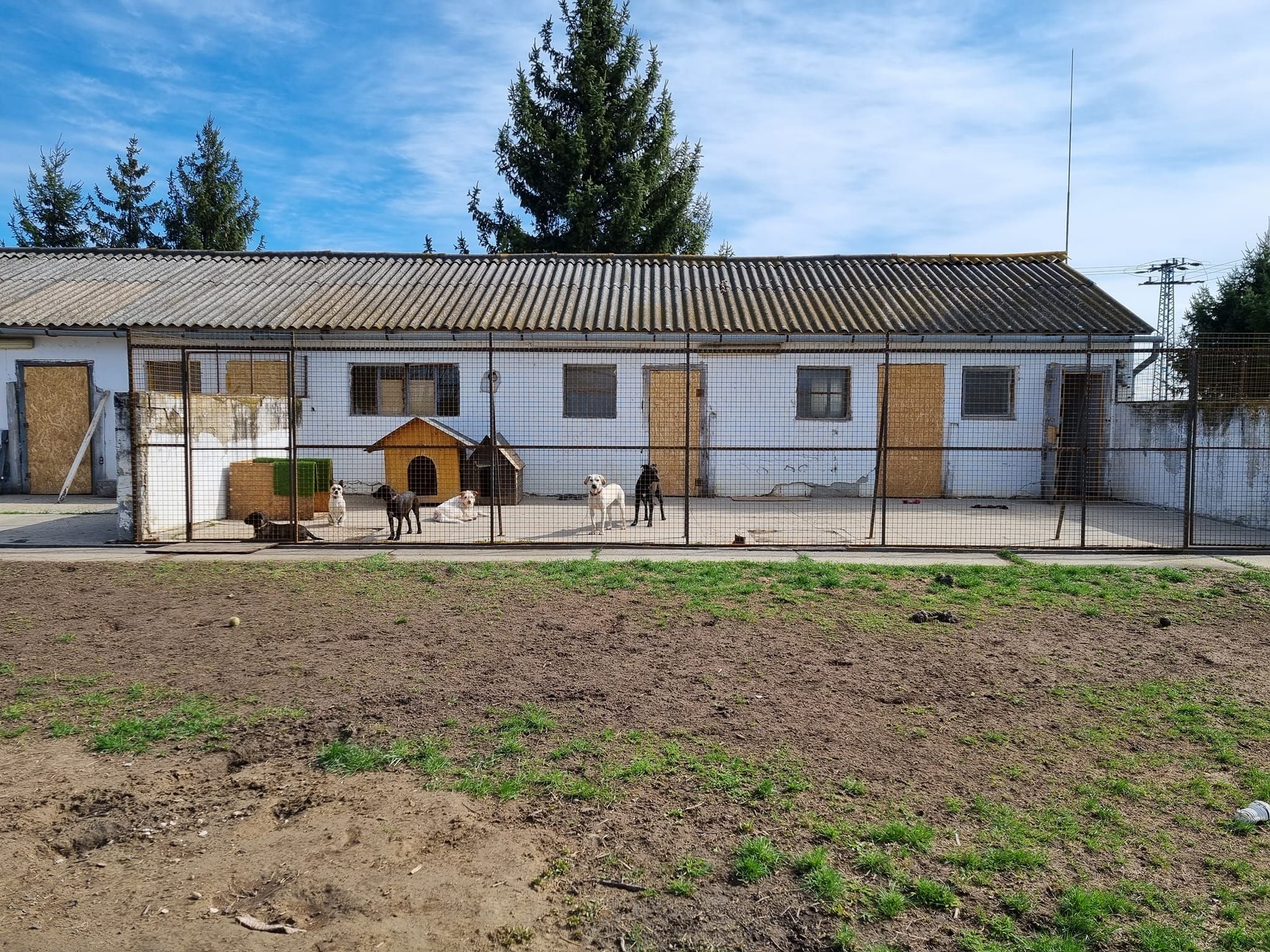 Status: 15.-18. April 2022