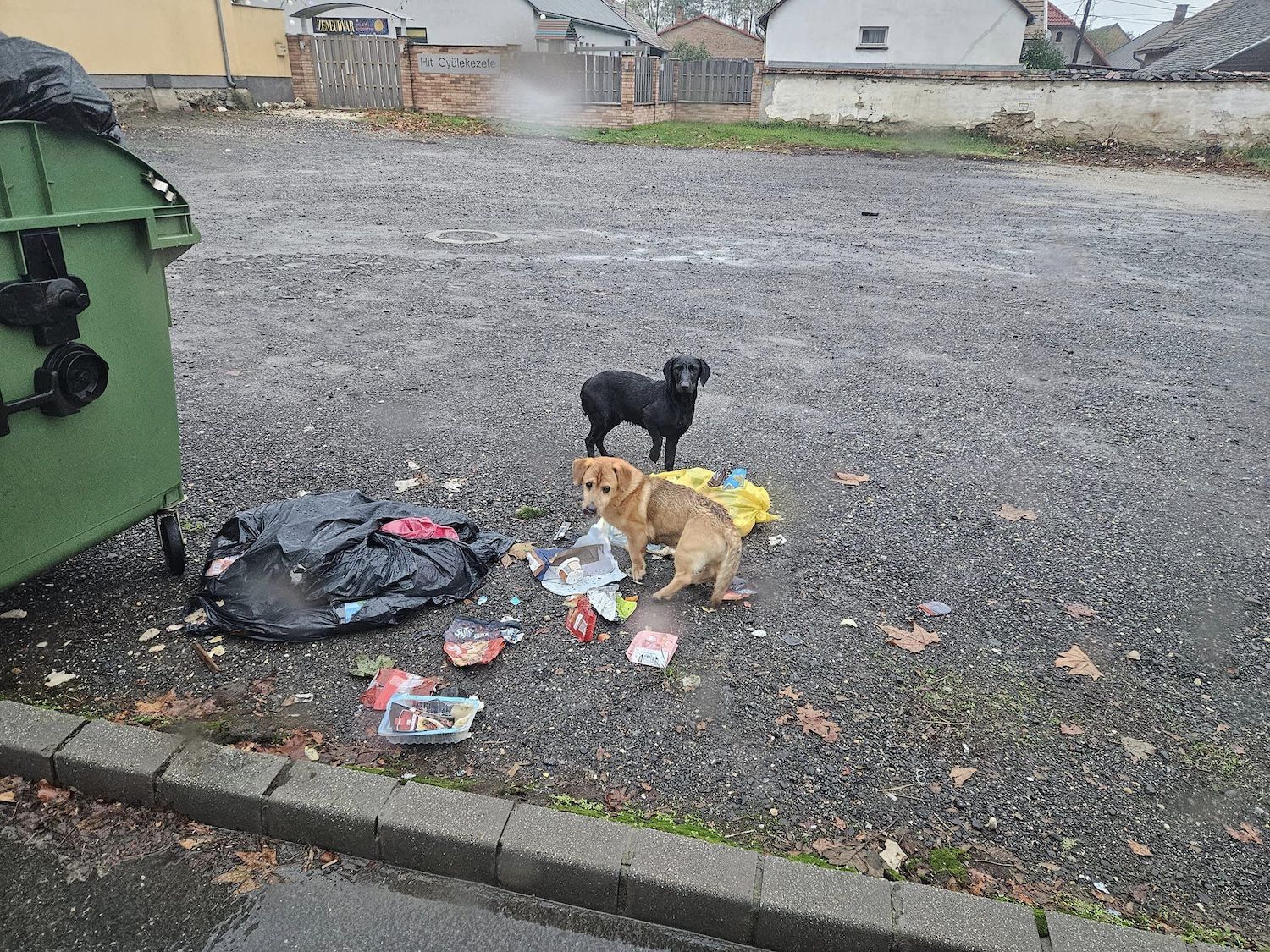 Status: 11.-18. November 2023