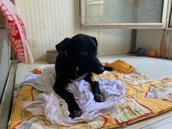 Status: November 2020