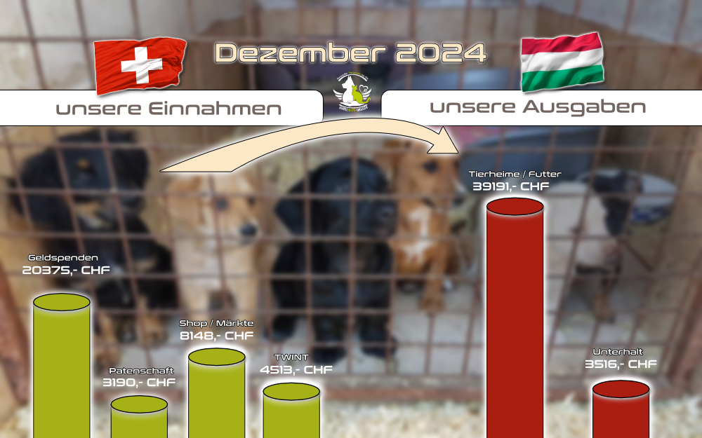 Dezember 2024