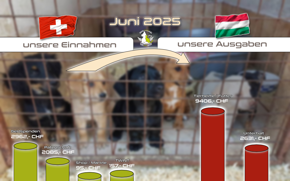 Juni 2025