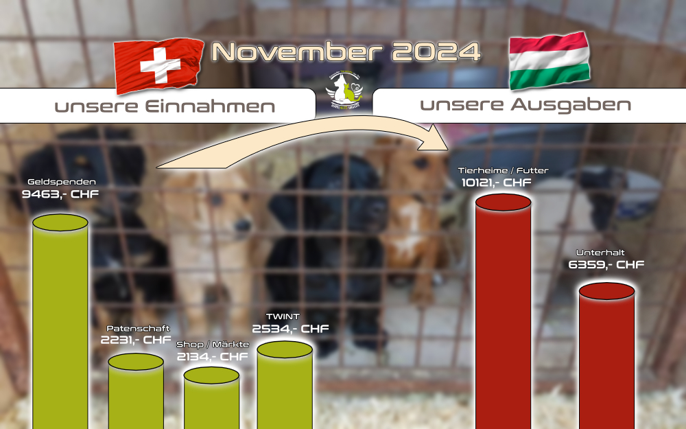November 2024