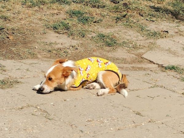 Status: 02.-03. März 2025