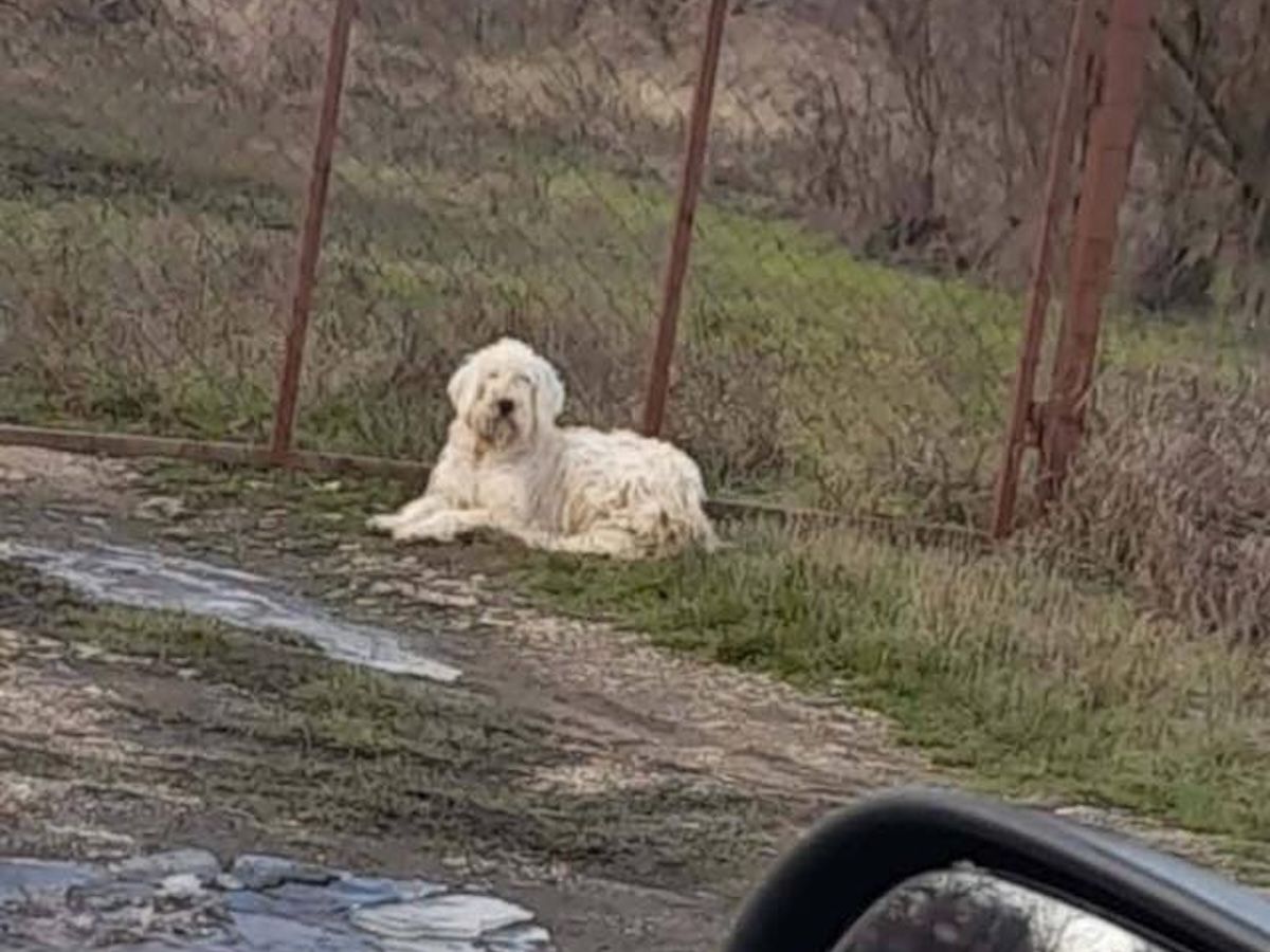 Status: Während der Feiertage ausgesetzt