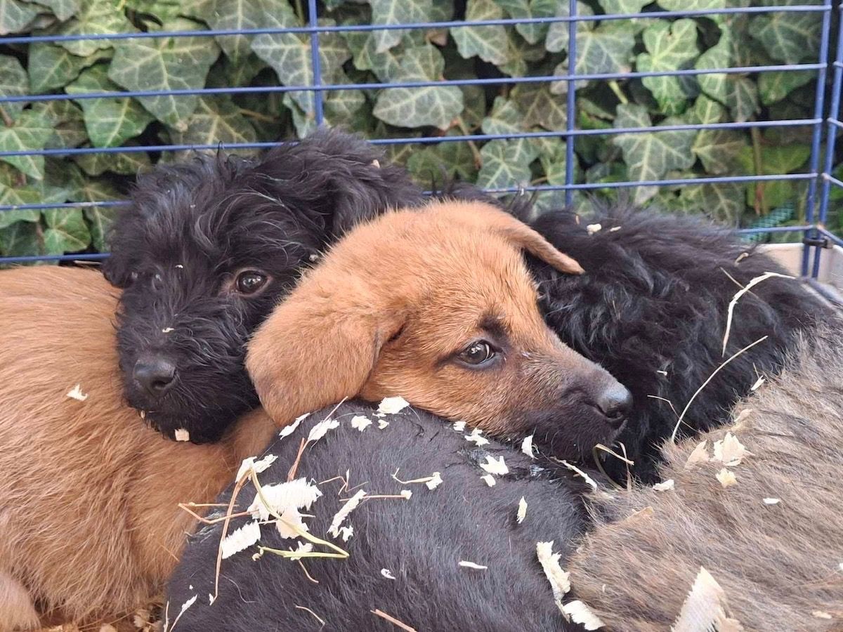 Status: Auf die Strasse geschmissen
