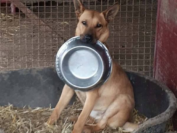 Status: 03. Juni 2024