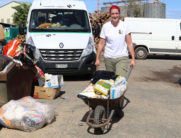 Status: September 2019