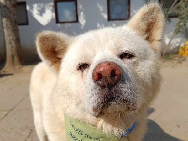 Status: 27.-31. März 2025