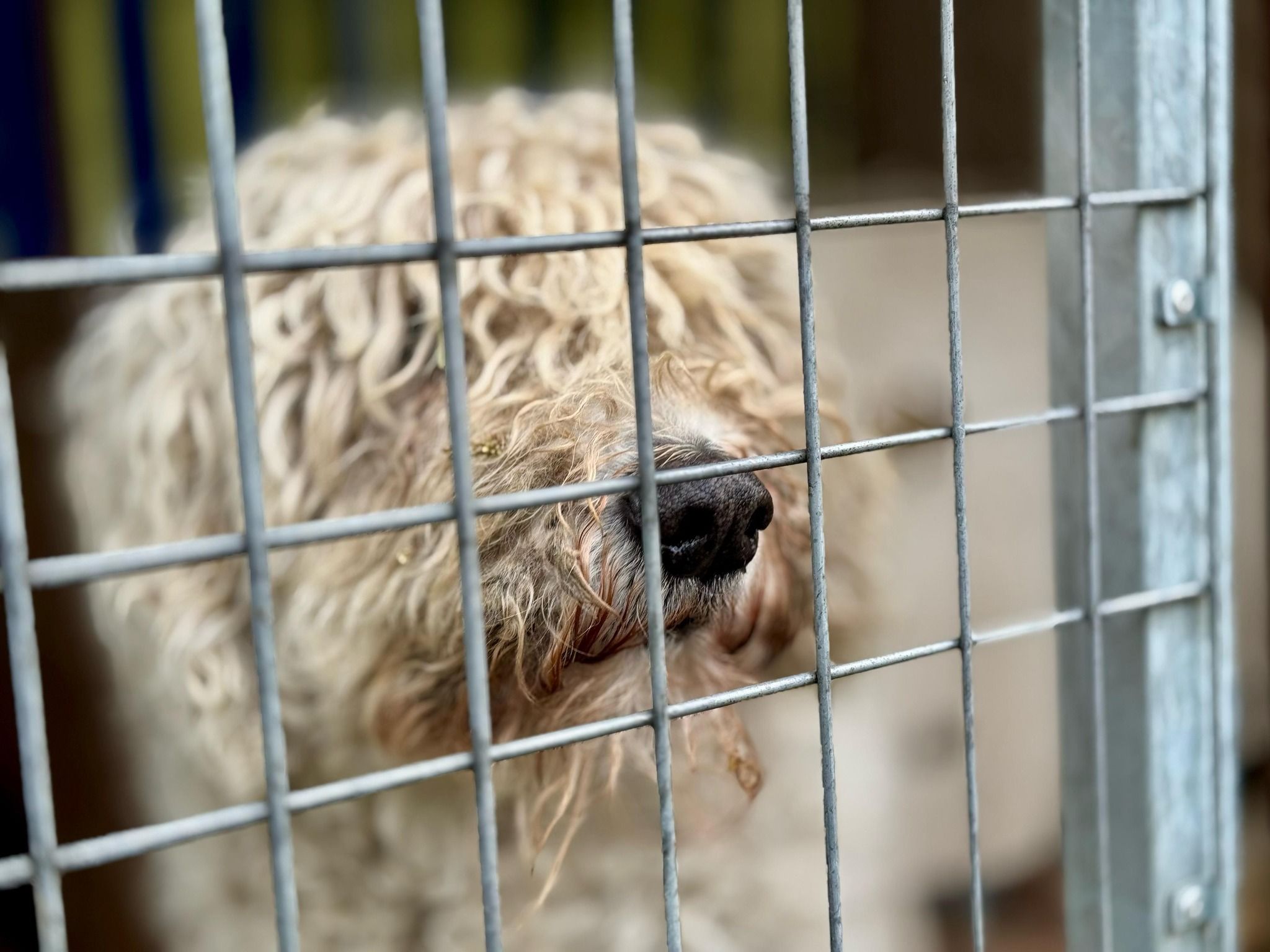 Status: 13. - 17. November 2025