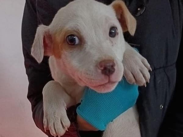 Status: 28. Mai - 02. Juni 2025